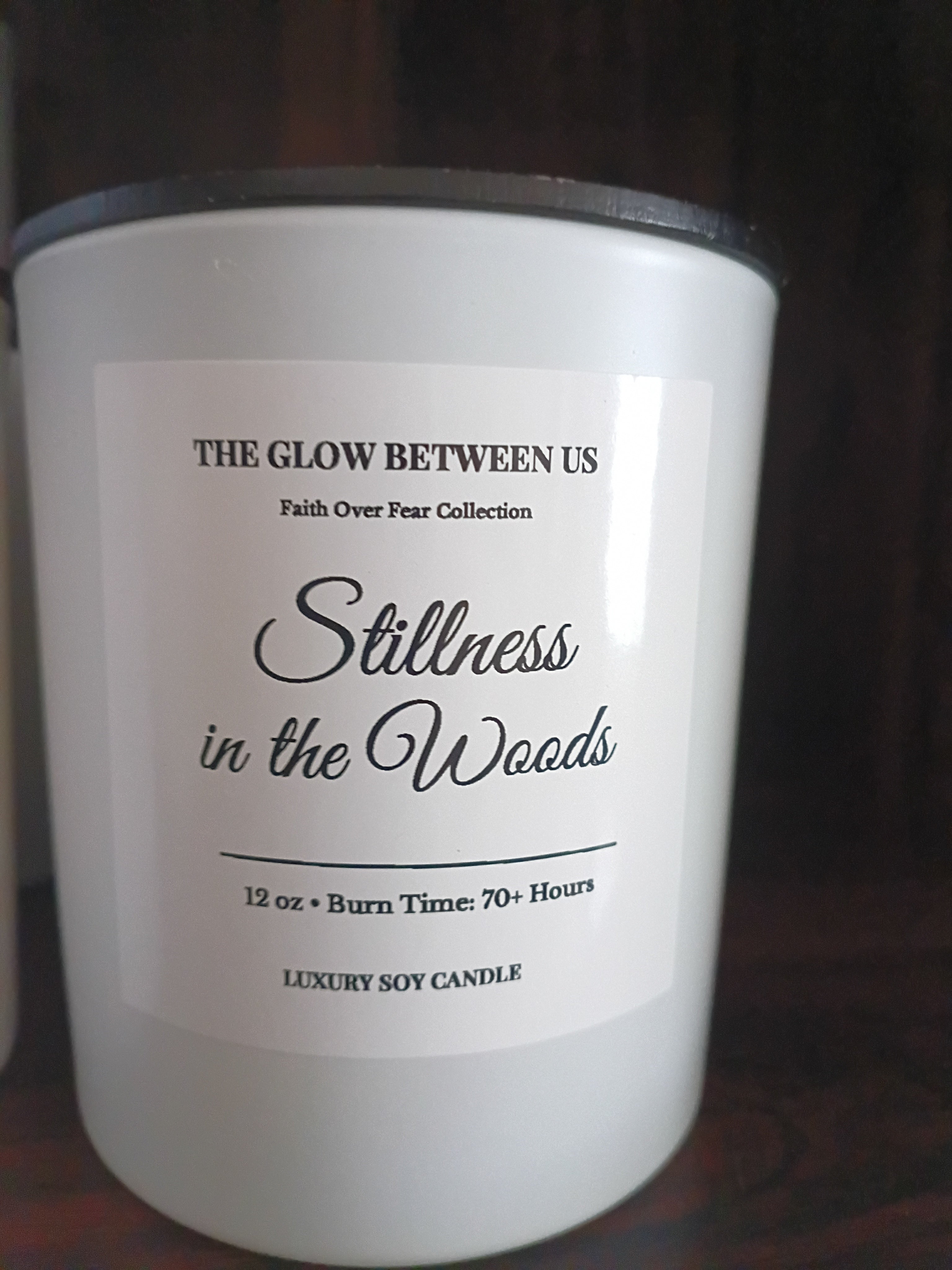 Stillness In The Woods| Sold Out